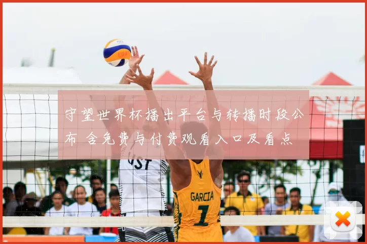 守望世界杯播出平台与转播时段公布 含免费与付费观看入口及看点