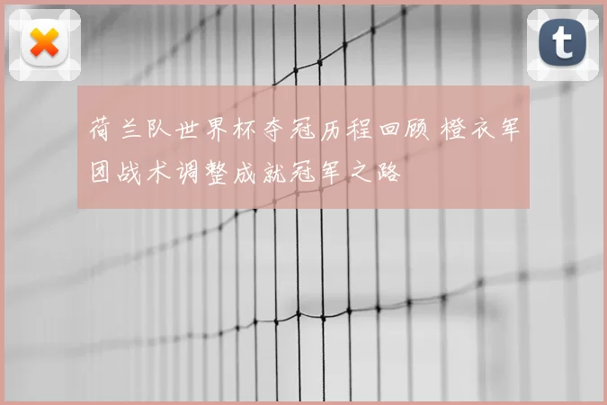 荷兰队世界杯夺冠历程回顾 橙衣军团战术调整成就冠军之路
