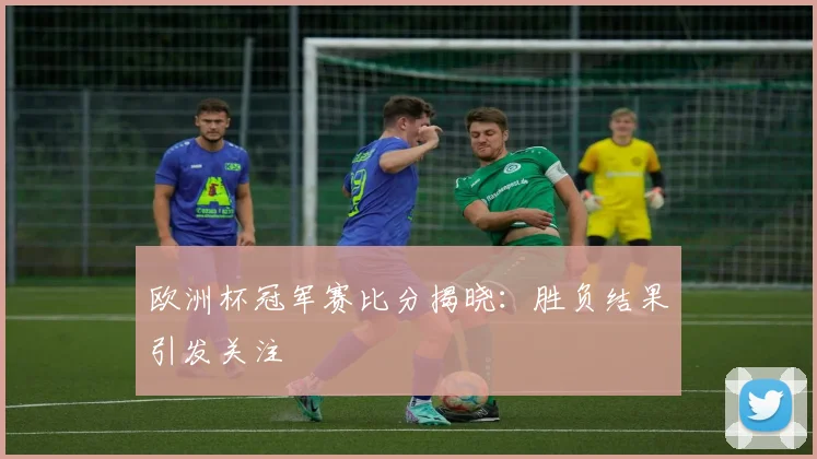欧洲杯冠军赛比分揭晓:胜负结果引发关注