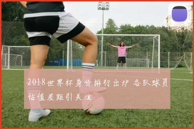 2018世界杯身价排行出炉 各队球员估值差距引关注