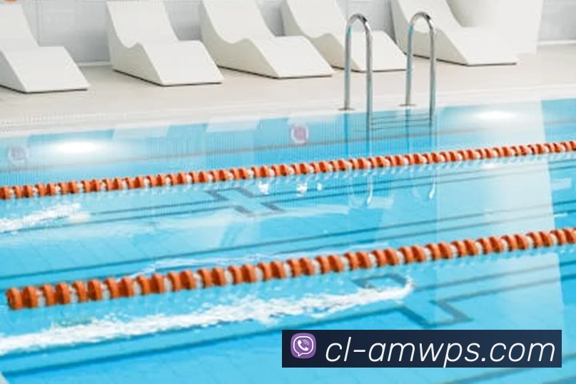 PG国际 - 追求健康,你我一起成长平台生态图